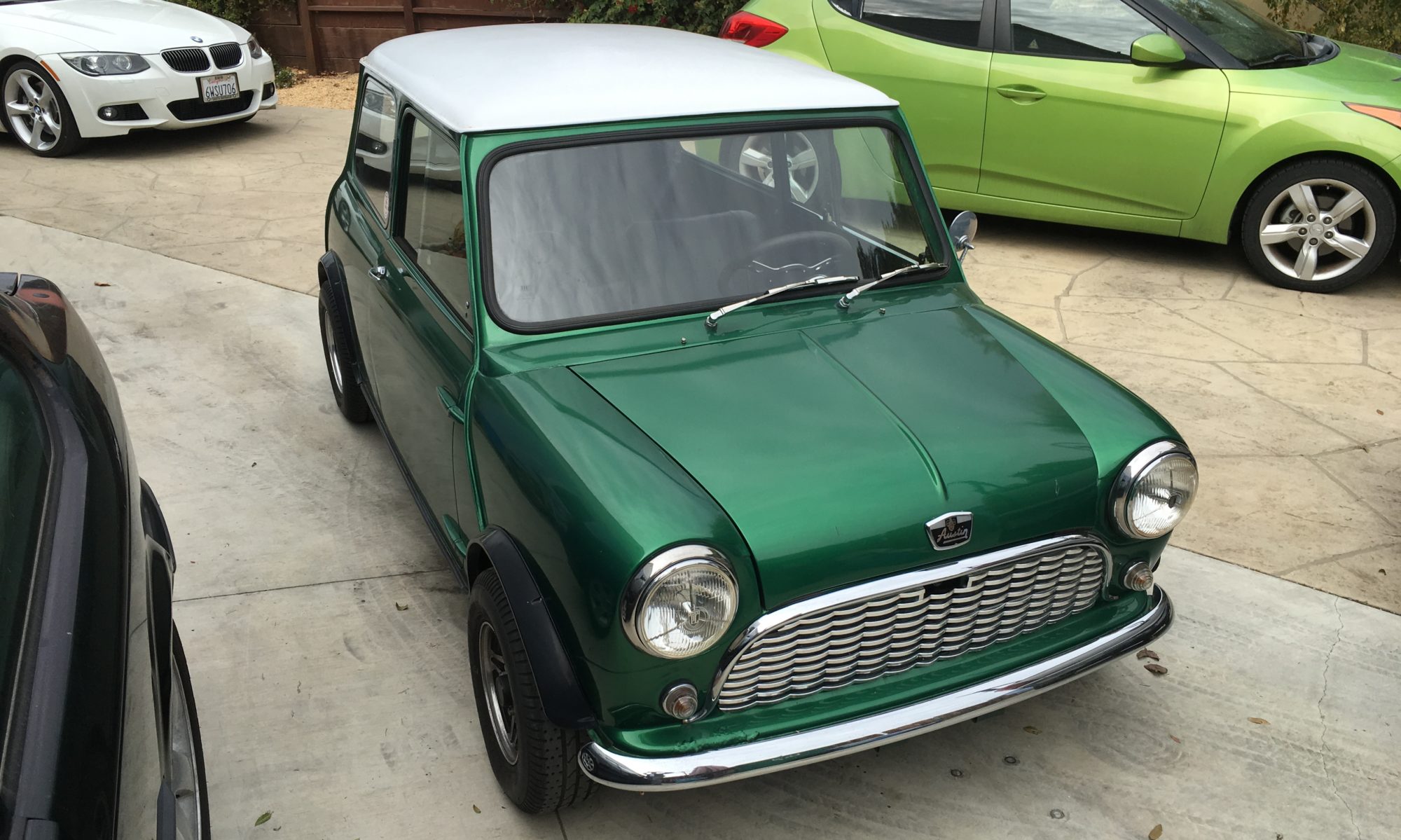 Peter's Mini